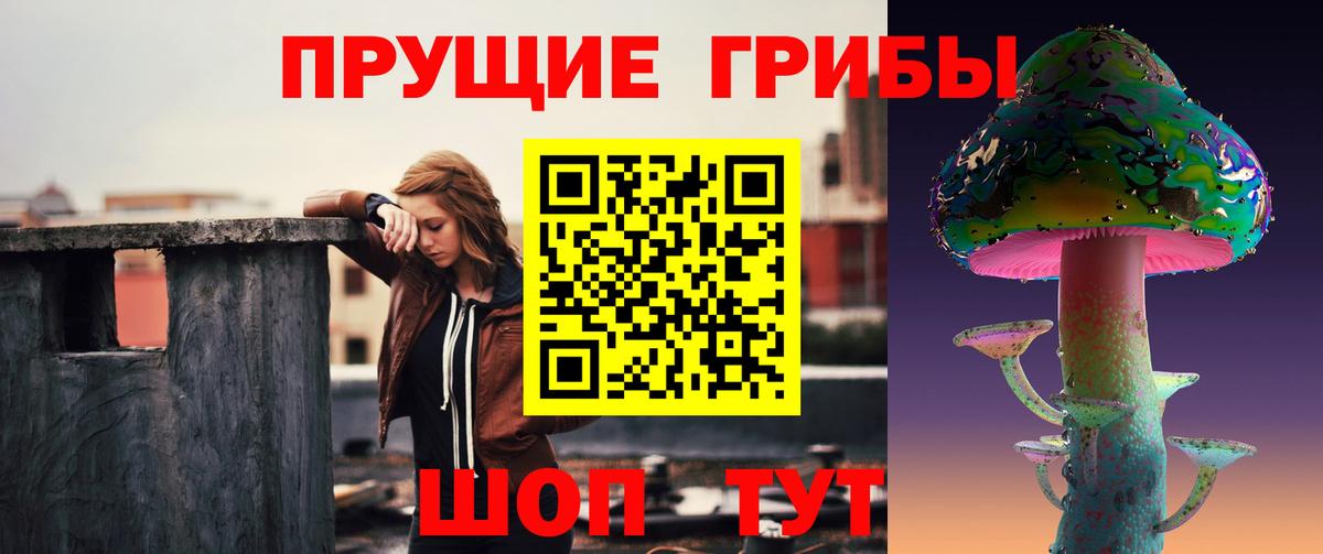 Псилоцибиновые грибы прущие грибы Сыктывкар